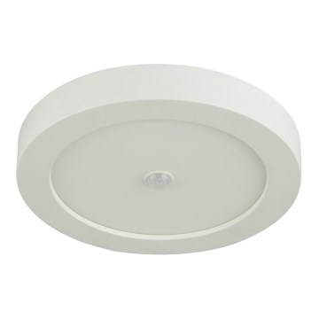 Globo - LED Outdoor Ceiling Light with Built-in Sensor LED/18W/230V IP44
