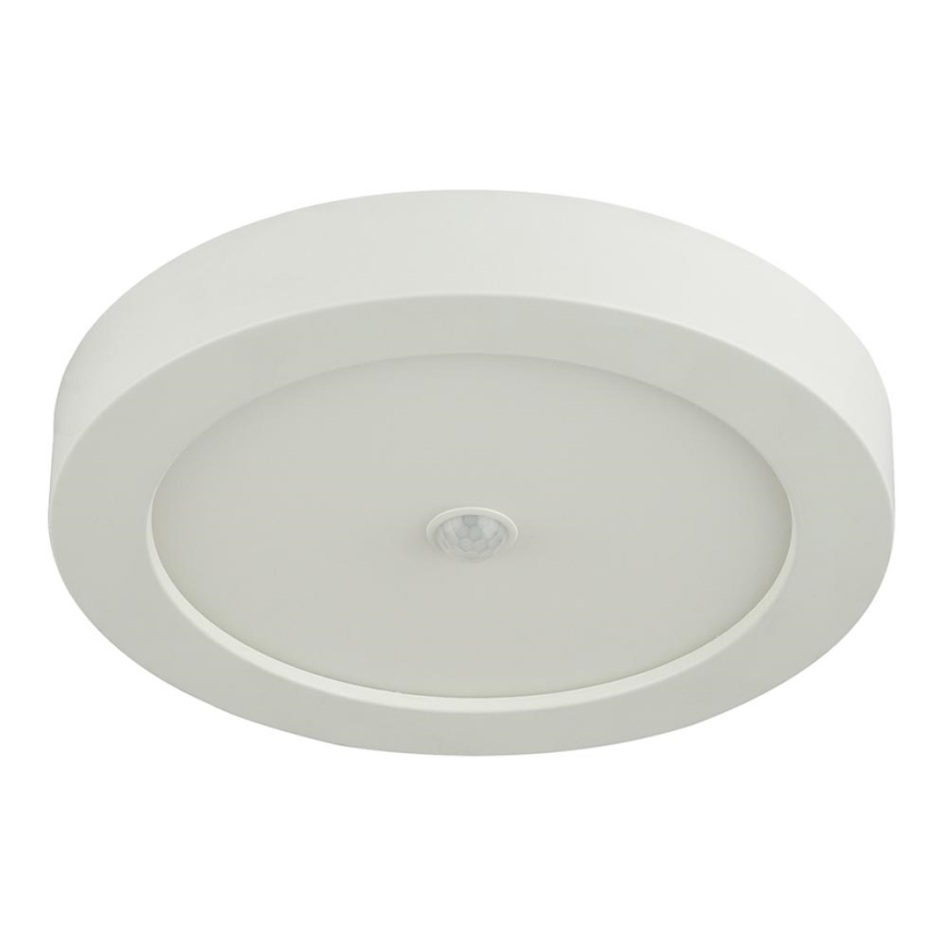 Globo - LED Outdoor ceiling light with sensor 1xLED/18W/230V
