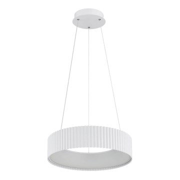 Globo - LED pendant light on cable LED/45W/230V 2700/4000/6000K dia. 46 cm white