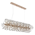 Globo - LED Pendant on Cable 12xG9/3,5W/230V, Gold