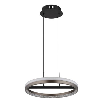 Globo - LED pendant on cable LED/40W/230V 3000/4000/6000K dia. 39.7 cm