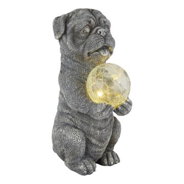 Globo - LED Solar decoration LED/0,02W/3V IP44 dog