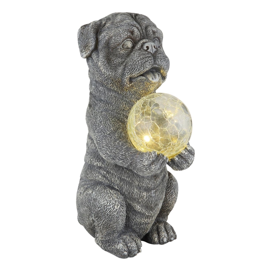 Globo - LED Solar decoration LED/0,02W/3V IP44 dog