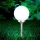 Globo - LED Solar light 2xLED/0,06W/1,2V IP44