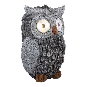Globo - LED Solar light 2xLED/0,06W/3V IP44 owl
