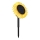 Globo - LED Solar light LED/0,06W/3V sunflower IP44 800 mAh