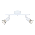 Globo - LED spotlight 2xGU10/3W/230V