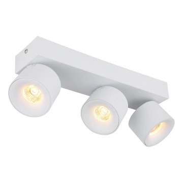 Globo - LED Spotlight 3xLED/6W/230V white