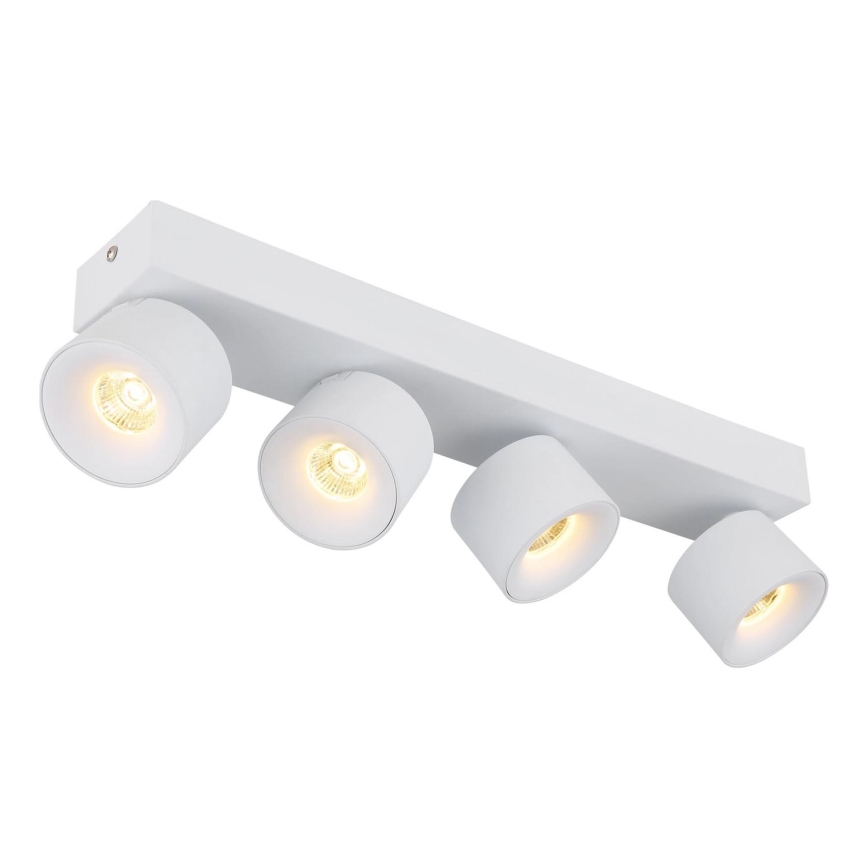 Globo - LED Spotlight 4xLED/6W/230V white
