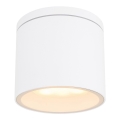 Globo - Outdoor ceiling light 1xGX53/11W/230V IP44