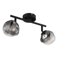 Globo - Spotlight 2xG9/5W/230V