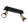 Globo - Spotlight 2xGU10/35W/230V black/brass