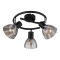Globo - Spotlight 3xE14/40W/230V black