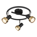 Globo - Spotlight  3xGU10/25W/230V black/gold