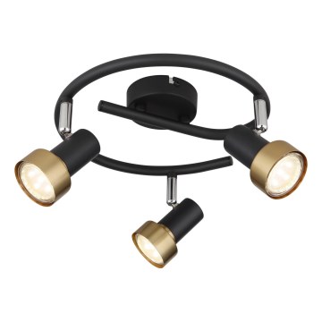 Globo - Spotlight  3xGU10/25W/230V black/gold