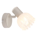 Globo - Wall-mounted Spotlight 1xE14/40W/230V