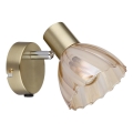 Globo - Wall spotlight 1xE14/40W/230V gold
