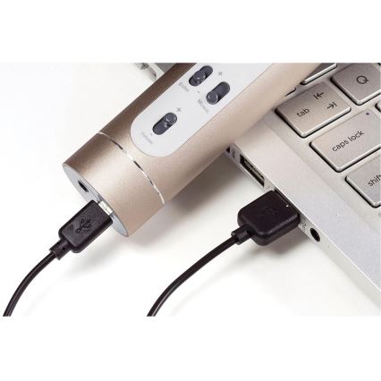 Gold Bluetooth Karaoke Microphone — 6 W, 5 V, 1500 mAh