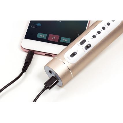 Gold Bluetooth Karaoke Microphone — 6 W, 5 V, 1500 mAh