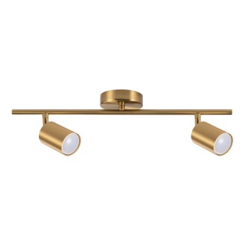 GOLDIE Spotlight 2xGU10/10W/230V Gold