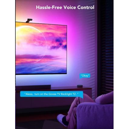 Govee - DreamView T2 DUAL TV 55-65" SMART LED backlight RGBIC Wi-Fi + remote control