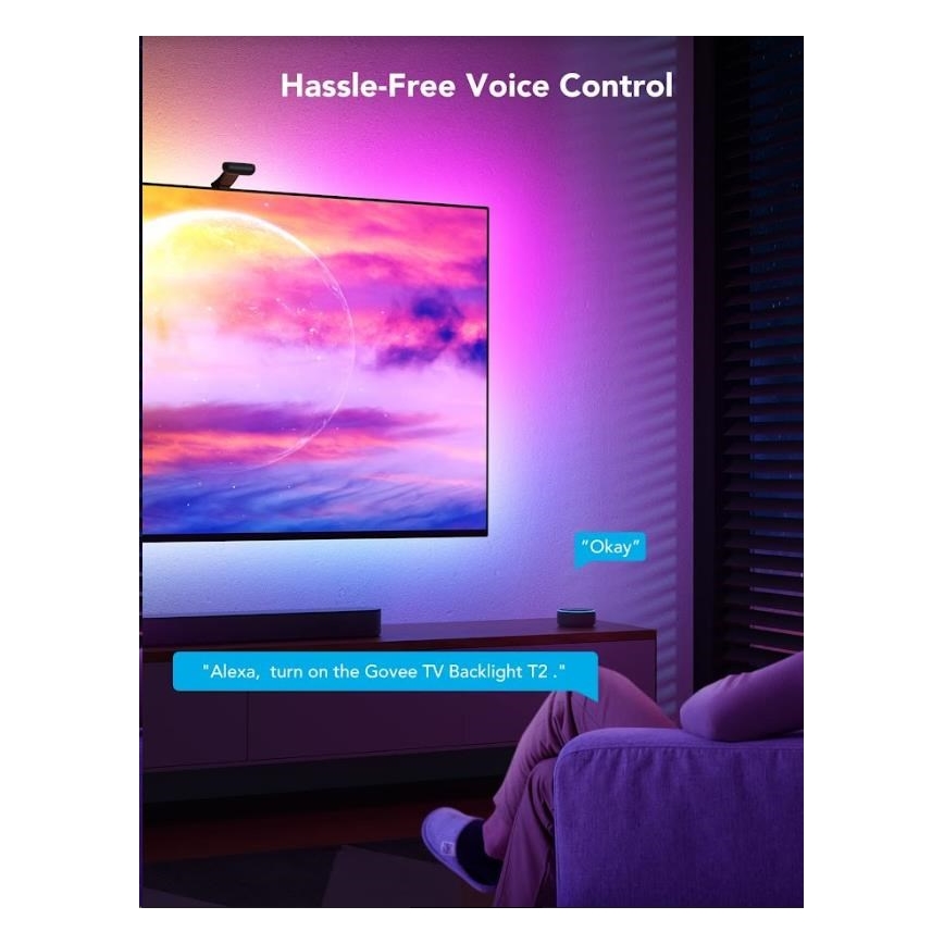 Govee - DreamView T2 DUAL TV 55-65" SMART LED backlight RGBIC Wi-Fi + remote control