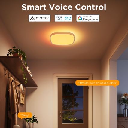 Govee - LED RGBIC Dimmable ceiling light LED/24W/230V 2700-6500K Wi-Fi