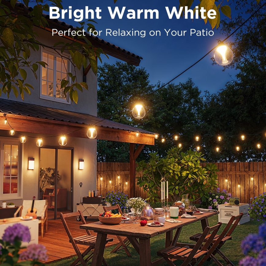 Govee - LED RGBICW Dimmable outdoor decorative chain LED/24W/230V IP67 2700-6500K Wi-Fi