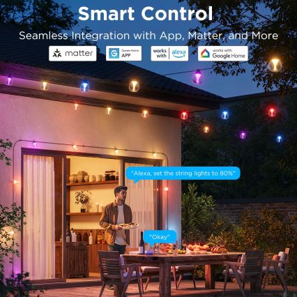 Govee - LED RGBICW Dimmable outdoor decorative chain LED/24W/230V IP67 2700-6500K Wi-Fi