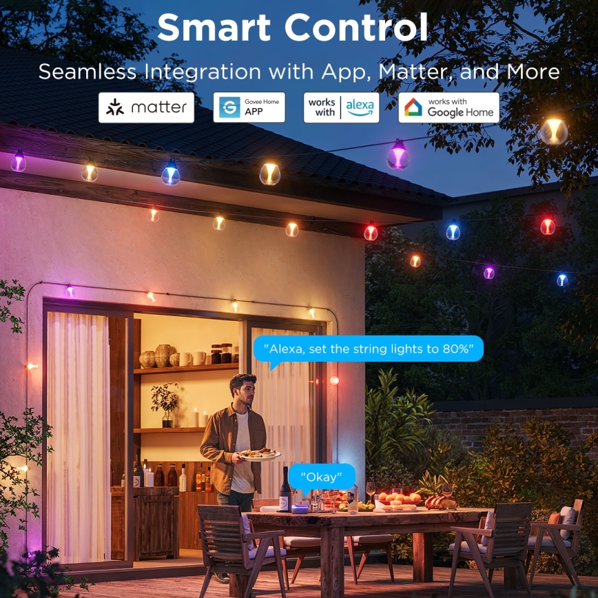 Govee - LED RGBICW Dimmable outdoor decorative chain LED/24W/230V IP67 2700-6500K Wi-Fi