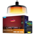 Govee - LED RGBICWW Dimmable Cable-Suspended Pendant Light LED/21W/230V Matter Wi-Fi