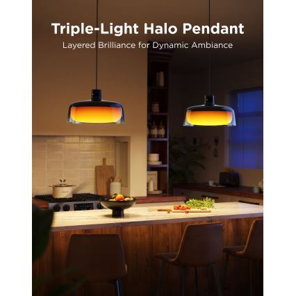 Govee - LED RGBICWW Dimmable Cable-Suspended Pendant Light LED/21W/230V Matter Wi-Fi