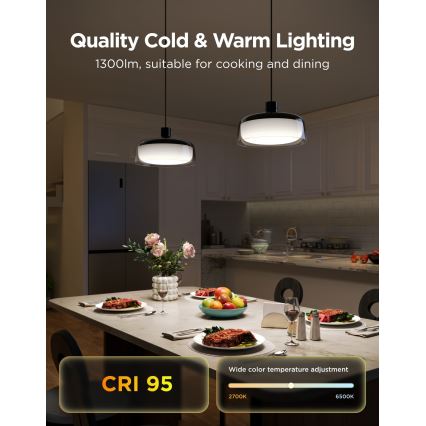 Govee - LED RGBICWW Dimmable Cable-Suspended Pendant Light LED/21W/230V Matter Wi-Fi