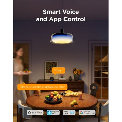 Govee - LED RGBICWW Dimmable Cable-Suspended Pendant Light LED/21W/230V Matter Wi-Fi