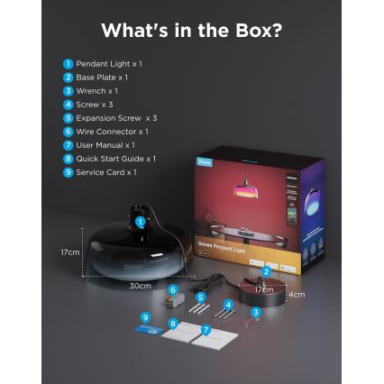 Govee - LED RGBICWW Dimmable Cable-Suspended Pendant Light LED/21W/230V Matter Wi-Fi