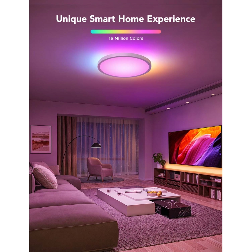 Govee - LED RGBICWW Dimmable Ceiling Light LED/29W/230V Ø 30 cm Matte Wi‑Fi