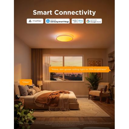 Govee - LED RGBICWW Dimmable Ceiling Light LED/55W/230V Ø 46 cm Matter Wi-Fi