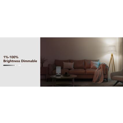 Govee - LED RGBWW Dimmable bulb Smart E27/12W/230V 2700-6500K Wi-Fi