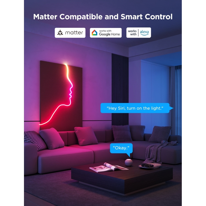 Govee - Neon 2 MATTER bendable LED strip 5m RGBIC Wi-Fi IP67