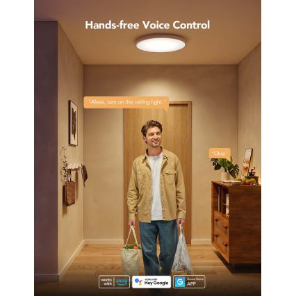 Govee - LED RGBIC + Warm White Dimmable Ceiling Light, 29W, 230V, Ø 30 cm, Matte, Wi-Fi