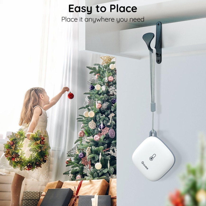 Govee - Thermometer and Hygrometer 3xAAA Wi-Fi