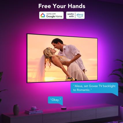Govee - TV 40-50 Smart RGBIC LED Backlight with Wi-Fi