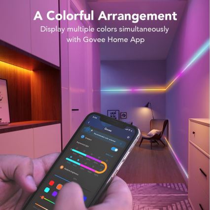 Govee - Wi-Fi RGBIC Smart PRO LED strip 10m - extra durable