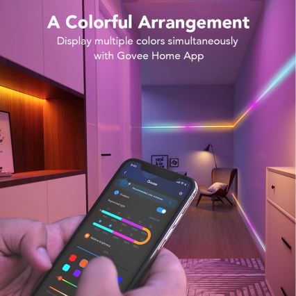 Govee - Wi-Fi RGBIC Smart PRO LED strip 3m - extra durable