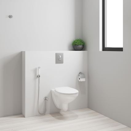 GROHE 26356IL0 - TEMPESTA-F 30 Handheld Bidet Spray, 1250 mm, White