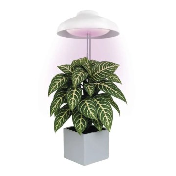 GROW LED Indoor Plant Grow Light 5W/5V