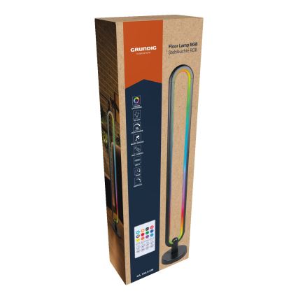 Grundig - Dimmable RGB LED Floor Lamp LED/8W/5V + Remote Control