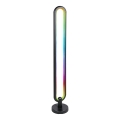 Grundig - Dimmable RGB LED Floor Lamp LED/8W/5V + Remote Control