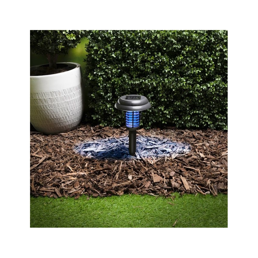 Grundig - LED Solar Lamp and UV Insect Trap / 1xAA 600 mAh IPX4