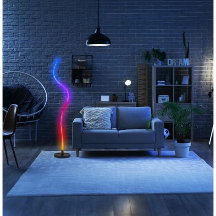 Grundig - RGB LED Dimmable Floor Lamp LED/5W/5V + remote control